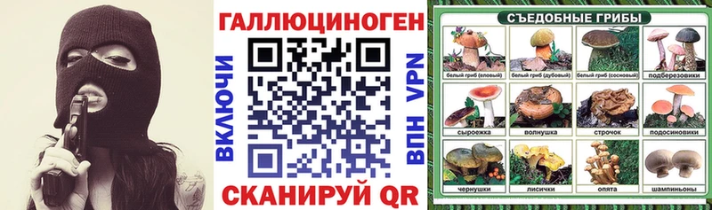 Купить  Могоча  Псилоцибиновые грибы Psilocybe 